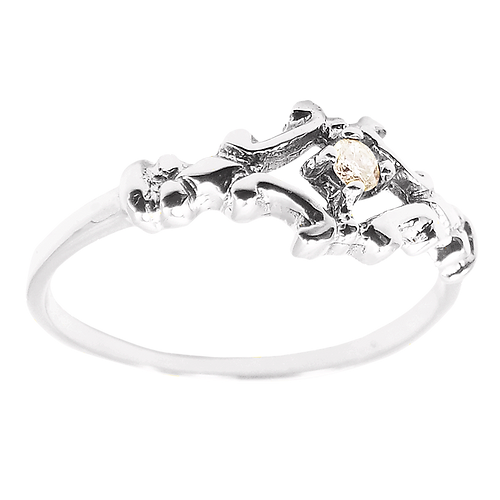 Anillo AP-04